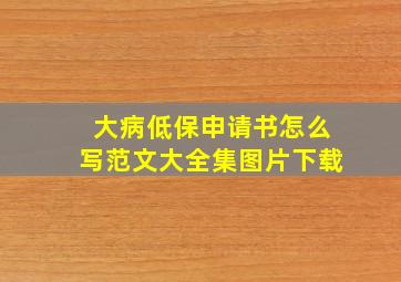 大病低保申请书怎么写范文大全集图片下载