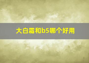 大白霜和b5哪个好用