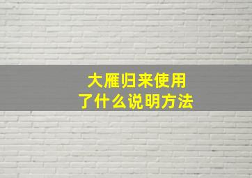 大雁归来使用了什么说明方法