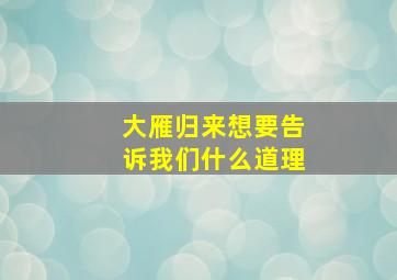 大雁归来想要告诉我们什么道理