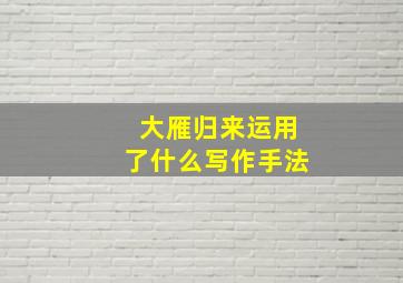 大雁归来运用了什么写作手法