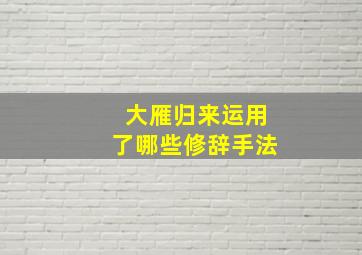 大雁归来运用了哪些修辞手法