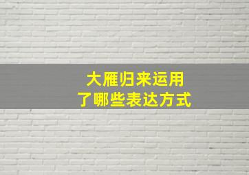 大雁归来运用了哪些表达方式