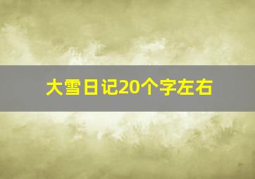 大雪日记20个字左右