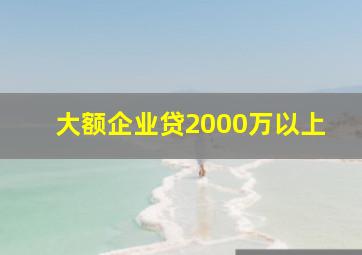 大额企业贷2000万以上