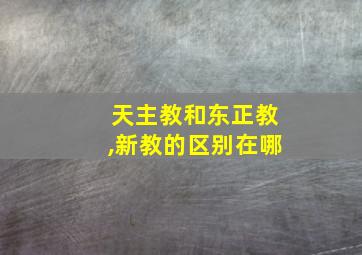 天主教和东正教,新教的区别在哪