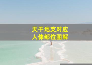 天干地支对应人体部位图解