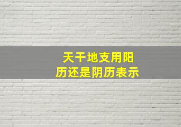 天干地支用阳历还是阴历表示