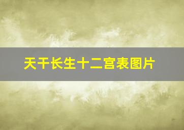 天干长生十二宫表图片