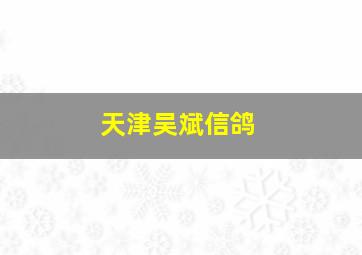 天津吴斌信鸽