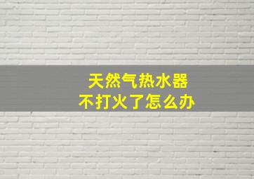 天然气热水器不打火了怎么办