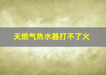 天燃气热水器打不了火