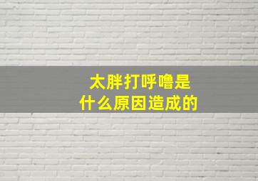 太胖打呼噜是什么原因造成的