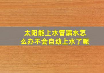 太阳能上水管漏水怎么办不会自动上水了呢