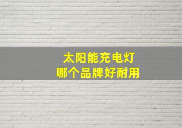 太阳能充电灯哪个品牌好耐用