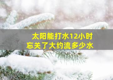 太阳能打水12小时忘关了大约流多少水