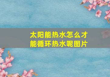 太阳能热水怎么才能循环热水呢图片