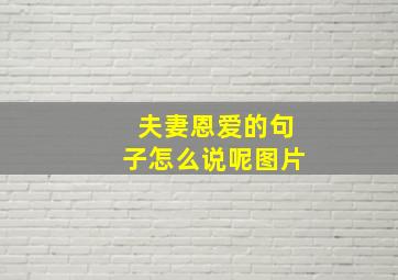 夫妻恩爱的句子怎么说呢图片