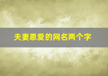 夫妻恩爱的网名两个字