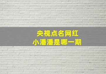 央视点名网红小潘潘是哪一期