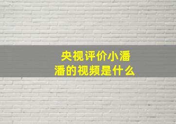 央视评价小潘潘的视频是什么