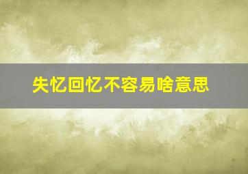 失忆回忆不容易啥意思