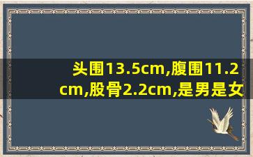 头围13.5cm,腹围11.2cm,股骨2.2cm,是男是女