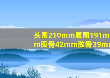 头围210mm腹围191mm股骨42mm肱骨39mm