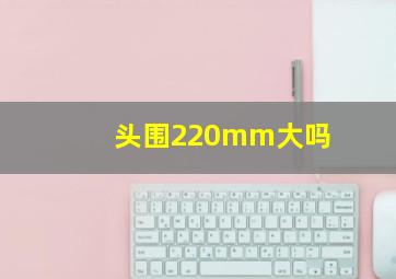 头围220mm大吗