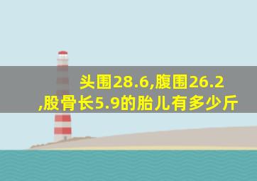 头围28.6,腹围26.2,股骨长5.9的胎儿有多少斤