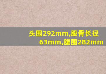 头围292mm,股骨长径63mm,腹围282mm