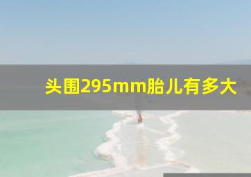 头围295mm胎儿有多大