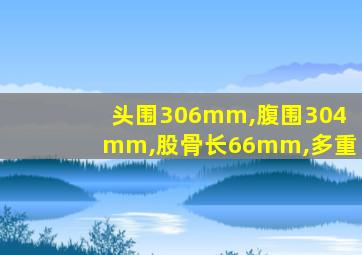 头围306mm,腹围304mm,股骨长66mm,多重