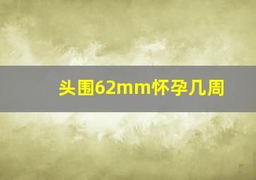 头围62mm怀孕几周