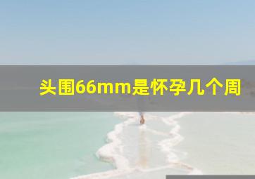 头围66mm是怀孕几个周