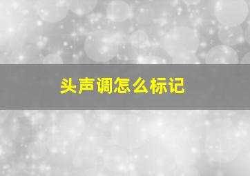 头声调怎么标记