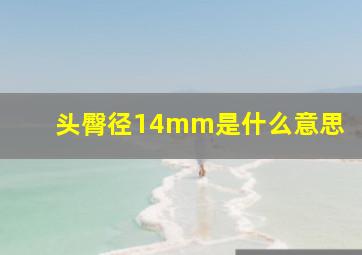 头臀径14mm是什么意思