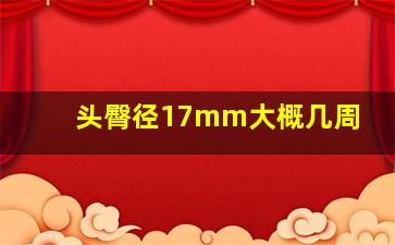 头臀径17mm大概几周