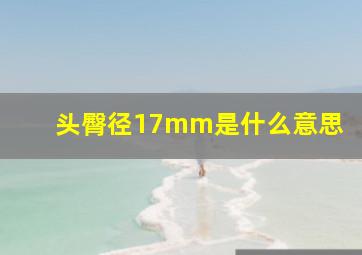 头臀径17mm是什么意思