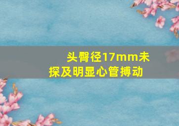 头臀径17mm未探及明显心管搏动