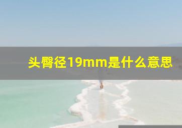 头臀径19mm是什么意思