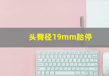 头臀径19mm胎停