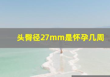 头臀径27mm是怀孕几周