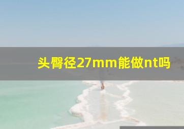 头臀径27mm能做nt吗