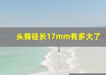 头臀径长17mm有多大了