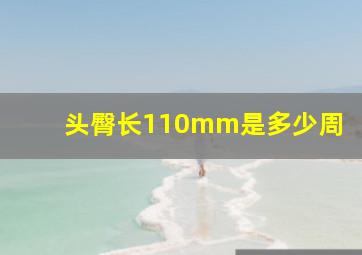 头臀长110mm是多少周