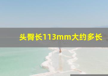 头臀长113mm大约多长