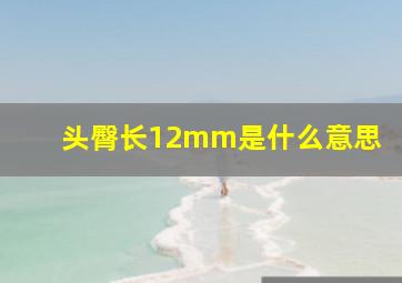 头臀长12mm是什么意思