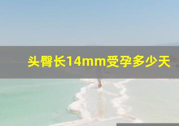 头臀长14mm受孕多少天