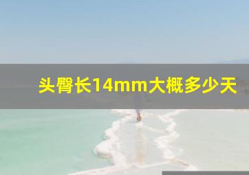 头臀长14mm大概多少天